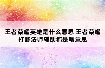 王者荣耀英雄是什么意思 王者荣耀打野法师辅助都是啥意思